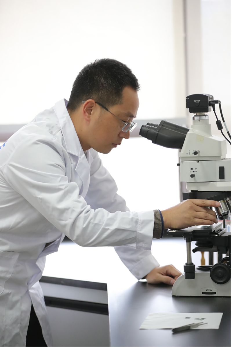 高华--副高级工程师